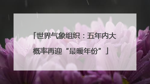 世界气象组织：五年内大概率再迎“最暖年份”