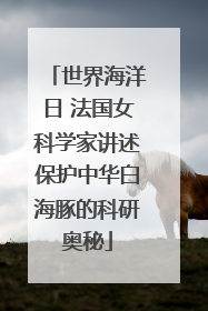 世界海洋日 法国女科学家讲述保护中华白海豚的科研奥秘