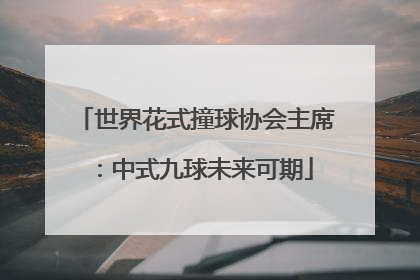 世界花式撞球协会主席：中式九球未来可期