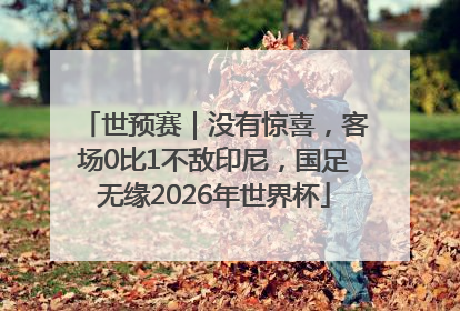 世预赛｜没有惊喜，客场0比1不敌印尼，国足无缘2026年世界杯