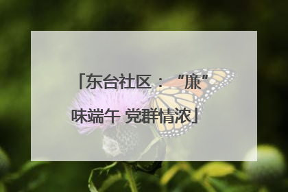 东台社区：“廉”味端午 党群情浓