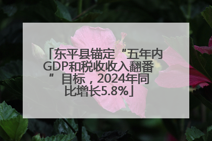 东平县锚定“五年内GDP和税收收入翻番”目标，2024年同比增长5.8%