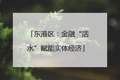 东港区：金融“活水”赋能实体经济