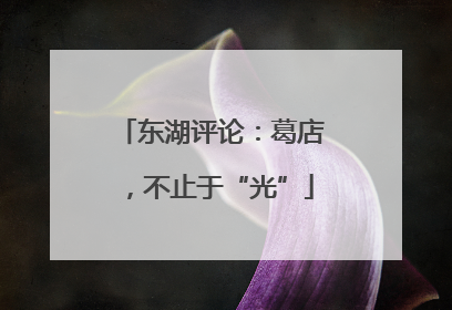 东湖评论：葛店，不止于“光”