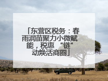 东营区税务：春雨润苗聚力小微赋能，税惠 “链” 动焕活商圈