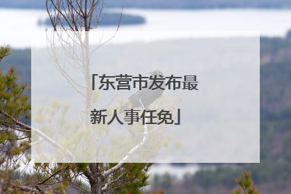 东营市发布最新人事任免