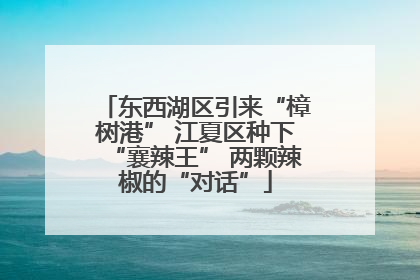东西湖区引来“樟树港” 江夏区种下“襄辣王” 两颗辣椒的“对话”