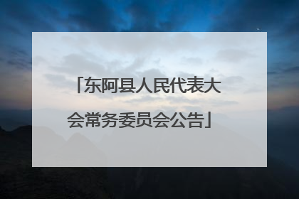 东阿县人民代表大会常务委员会公告