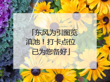 东风为引图览滇池！打卡点位已为您备好