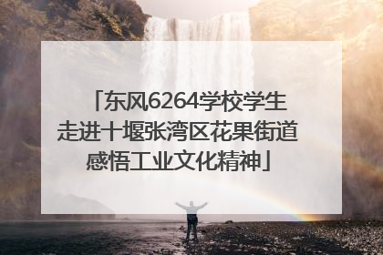 东风6264学校学生走进十堰张湾区花果街道感悟工业文化精神