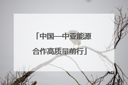 中国—中亚能源合作高质量前行