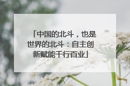 中国的北斗，也是世界的北斗：自主创新赋能千行百业