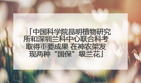 中国科学院昆明植物研究所和深圳兰科中心联合科考取得重要成果 在神农架发现两种“国保”级兰花