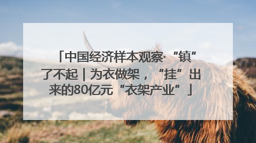 中国经济样本观察·“镇”了不起｜为衣做架，“挂”出来的80亿元“衣架产业”