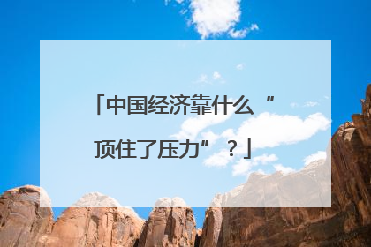 中国经济靠什么“顶住了压力”？