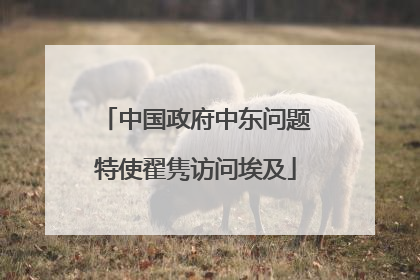 中国政府中东问题特使翟隽访问埃及