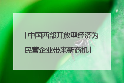 中国西部开放型经济为民营企业带来新商机