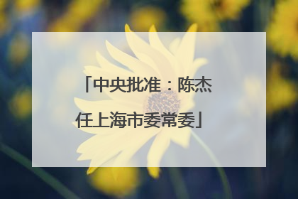 中央批准：陈杰任上海市委常委