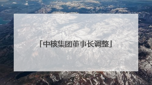 中核集团董事长调整