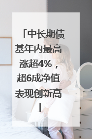 中长期债基年内最高涨超4%，超6成净值表现创新高