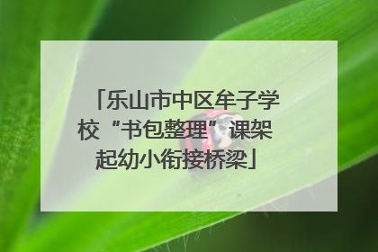 乐山市中区牟子学校“书包整理”课架起幼小衔接桥梁