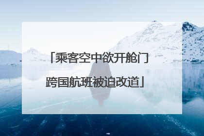 乘客空中欲开舱门 跨国航班被迫改道