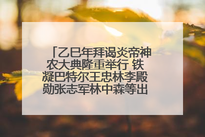 乙巳年拜谒炎帝神农大典隆重举行 铁凝巴特尔王忠林李殿勋张志军林中森等出席 孙伟主持