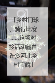 乡村门球、骑行比赛……这场对接活动藏着许多河北乡村宝藏