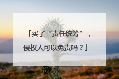 买了“责任统筹”，侵权人可以免责吗？