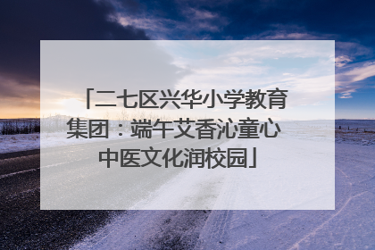 二七区兴华小学教育集团：端午艾香沁童心 中医文化润校园