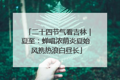 二十四节气看吉林｜夏至：蝉唱浓荫炎夏始 风携热浪白昼长