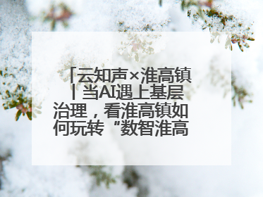 云知声×淮高镇丨当AI遇上基层治理，看淮高镇如何玩转“数智淮高”新花样