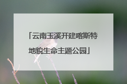 云南玉溪开建喀斯特地貌生命主题公园
