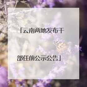 云南两地发布干部任前公示公告