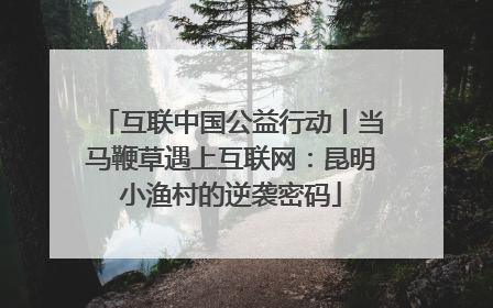 互联中国公益行动丨当马鞭草遇上互联网：昆明小渔村的逆袭密码