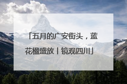 五月的广安街头，蓝花楹盛放丨镜观四川