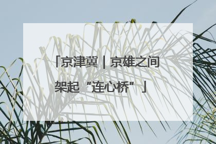 京津冀｜京雄之间架起“连心桥”