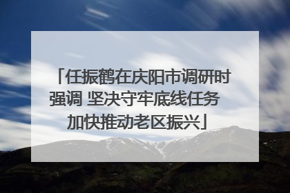 任振鹤在庆阳市调研时强调 坚决守牢底线任务 加快推动老区振兴
