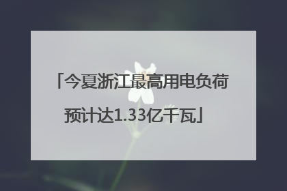 今夏浙江最高用电负荷预计达1.33亿千瓦