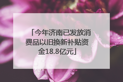 今年济南已发放消费品以旧换新补贴资金18.8亿元