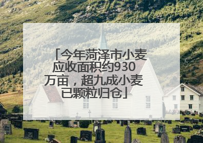 今年菏泽市小麦应收面积约930万亩，超九成小麦已颗粒归仓