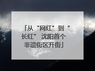 从“网红”到“长红” 沈阳首个非遗街区开街