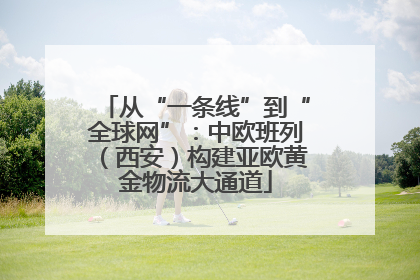 从“一条线”到“全球网”：中欧班列（西安）构建亚欧黄金物流大通道