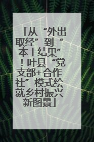 从“外出取经”到“本土结果”！叶县“党支部+合作社”模式绘就乡村振兴新图景