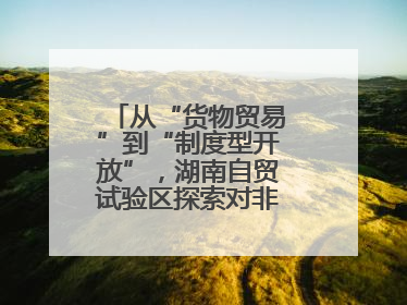 从“货物贸易”到“制度型开放”，湖南自贸试验区探索对非合作新模式