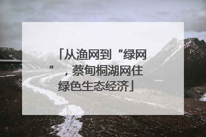 从渔网到“绿网”，蔡甸桐湖网住绿色生态经济