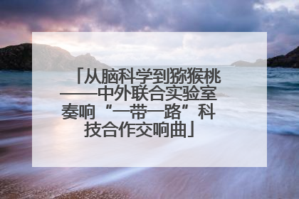 从脑科学到猕猴桃——中外联合实验室奏响“一带一路”科技合作交响曲