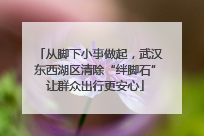 从脚下小事做起，武汉东西湖区清除“绊脚石”让群众出行更安心