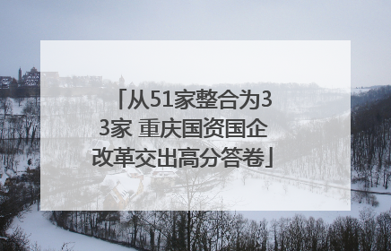 从51家整合为33家 重庆国资国企改革交出高分答卷