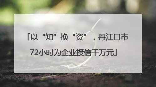 以“知”换“资”，丹江口市72小时为企业授信千万元
